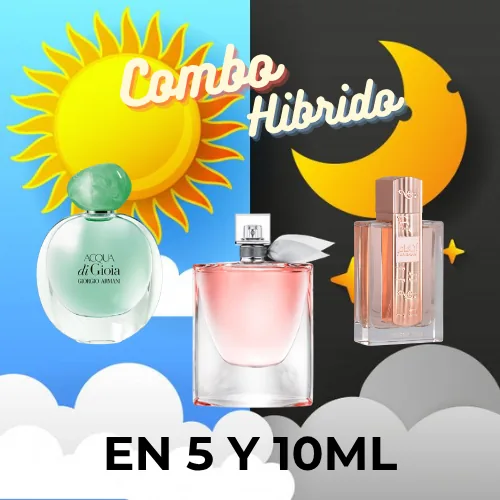 Combo híbrido de dama